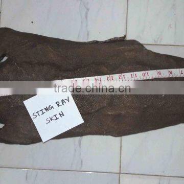 Dry Stingray Fish Skin