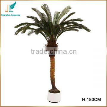 home decoration wholesale dried artificial cycas revoluta tree for sale