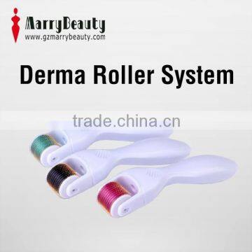 New Product 600 Needles Microneedling Dermaroller