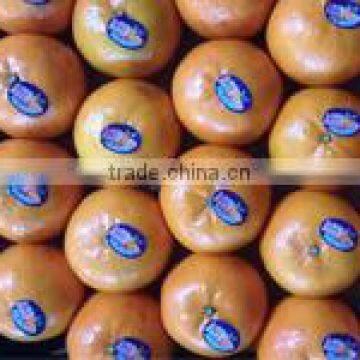 Mandarin Kinnow