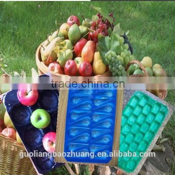 Custom-Made FDA/SGS Approved Fruit For Fruit Tray