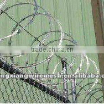 galvanized razor wire