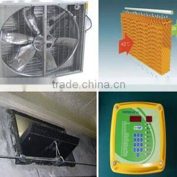 Professional High Quality Broiler Poultry Farm Shed Design