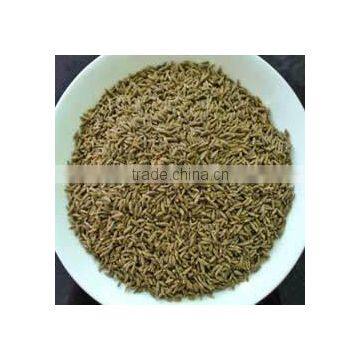 Cumin Seeds, Best Quality Cumin Seeds