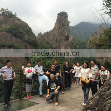 2015 Vogue Vivid Rectangle Reading Glasses photo-4