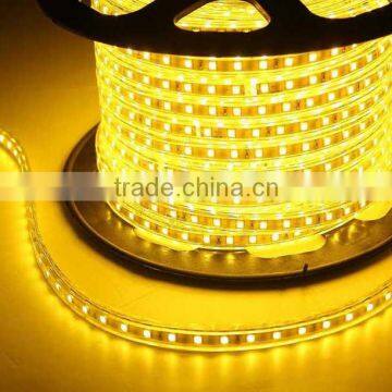 50M High Voltage Warm White Waterproof IP65 Led Strip Light Price