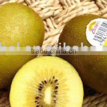 Health Sticker Printing Waterproof Sticker
