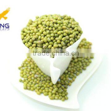 Green Mung Bean