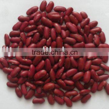 British Red Kidney Beans Crop 2015