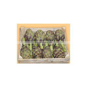 Fresh Quality Artichoke