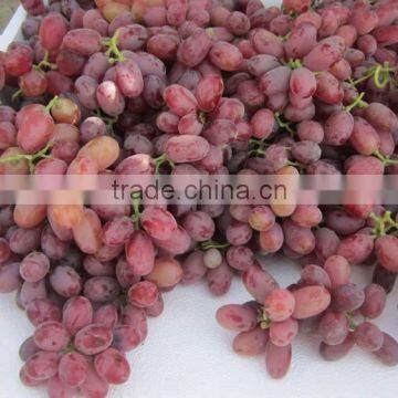 Containers of Crimson Grapes