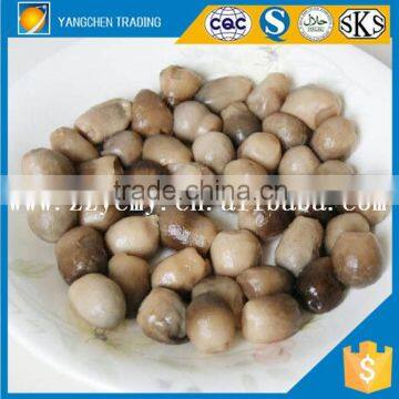 Kosher certified of canned food straw mushroom in brine