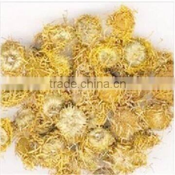 Low Price New Crop Flos Inulae Flower