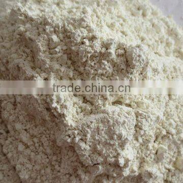 Certificated HACCP/HALAL Dehydrated Garde A White Garlic Powder