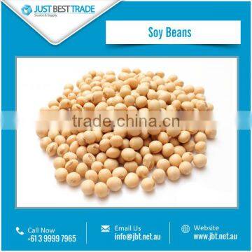 Non GMO Dried Yellow Soy Beans with Best Shelf Life