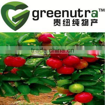 Acerola Cherry Fruit Extract