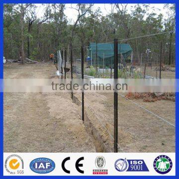Steel Metal Type Bitumen Y Shape Farm Fence Post Star Picket photo-6