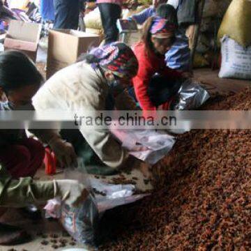 New Corp 100% Pure Natural Star Anise/Aniseed With Seeds photo-2