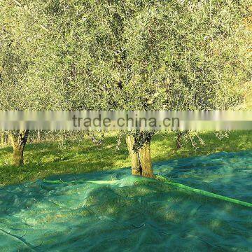 UV stabilised and Knitted Spain Olive Harvest Nets