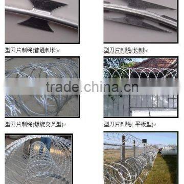 Galvanized Razor Wire/Concertina Wire/Razor Barbed Wire photo-5