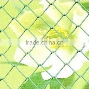 chain link mesh