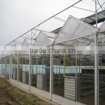 Plastic Greenhouses for Agricultur photo-3