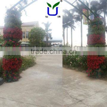 Cylindrical green wall container, decorated pillar