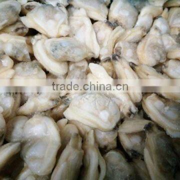 Best Selling Products Frozen baby Clam Meat without shell