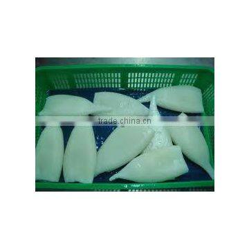 Frozen Whole Round Squid/ Frozen Squid/ Vietnam Seafood photo-4
