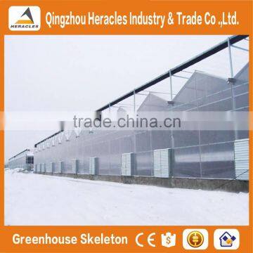 Heracles Trade Assurance Gothic PC Sheet Greenhouse photo-4