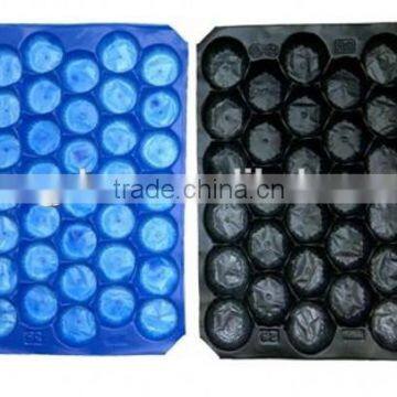Factory Directly Eco-friendly Colorful PP Plastic Thermal Food Container photo-4