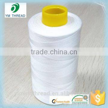 China Factory 100% Polyester Sewing Thread 20/2 20/3 photo-2