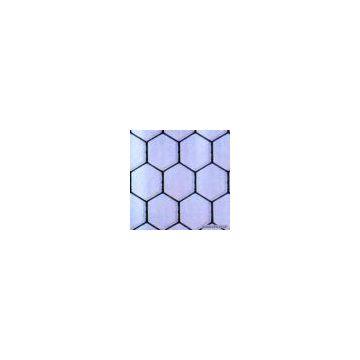 Sell Hexgonal Iron Wire Netting