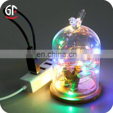 Decorative Lighted Columns for Wedding 33 FT 100 LEDs 5V Remote Control USB Operated LED USB Lights