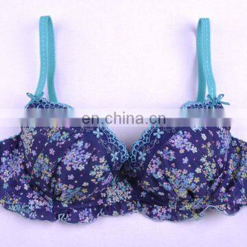 Beautiful Bra Sexy Bra Design/Women Hot Images Sexy Bra photo-2