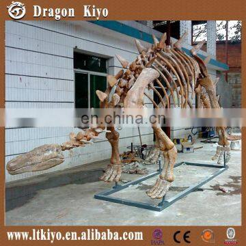 Replica Artificial Life Size Dinosaur Skeleton Model