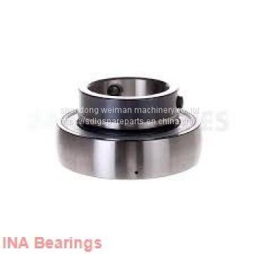 INA Bearings