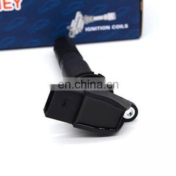 Wholesale Automotive Hengney Auto Parts 94860210421 For Porsche 2003-2006 Cayenne 4.5L V8N/A Turb Ignition Coils photo-3
