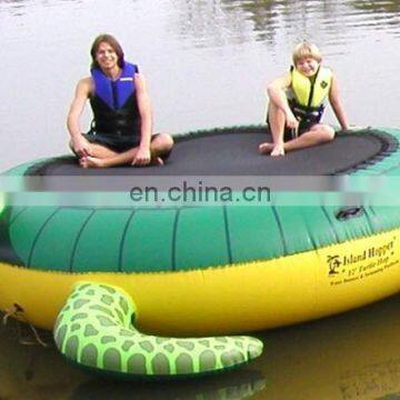 Hot Selling Inflatable Water Trampoline Water Turtle photo-2