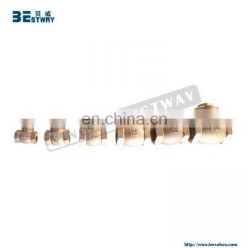 100% on-time shipment protection high-end 1 bronze check valve