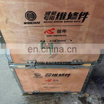 WD12.375 Engine Overhaul Gasket Kit & Rebuild Kit With Cylinder Piston Rings Liner Bearings photo-5