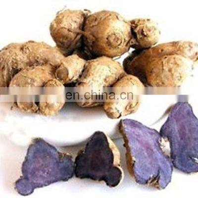 Black ginger extract powder 10:1 20:1 High Quality black ginger root extract powder