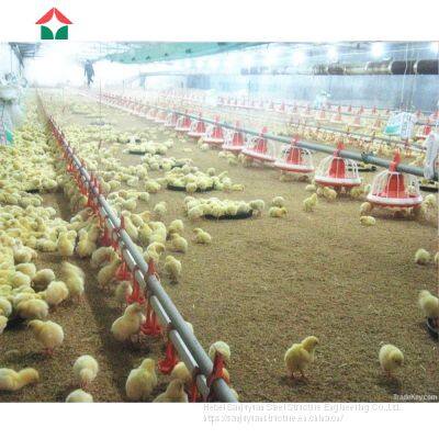 China Made Commercial Chicken House Used photo-4