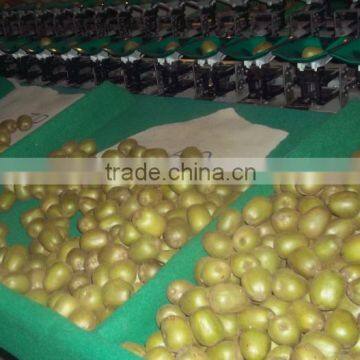 Multifunctional Automatic Fruit & Vegetable Sorting Machine