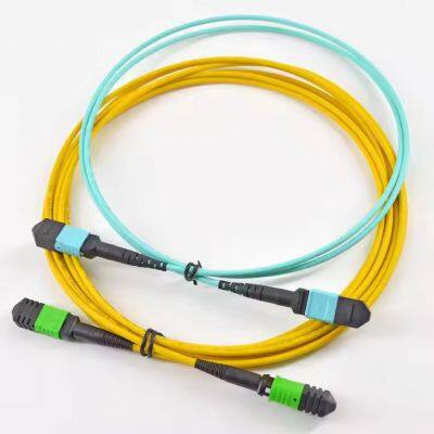 Direct Factory Price OM1 OM2 OM3 OM4 OM5 12cores MPO-MTP Male/Female Trunk Cable