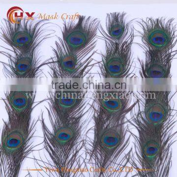 Factory Wholesale natural peacock feathers for sale