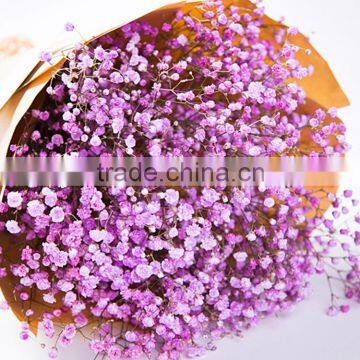 Fashionable best sell 2016 white gypsophila