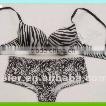 Sexy Zebra Bra/Brief Set