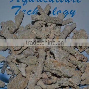 aquarium filtration coral sand