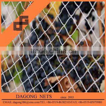 anti bird agriculture mesh